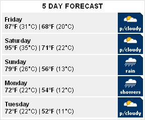 forecast